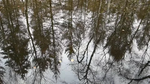 Water background Stock Footage 145267397