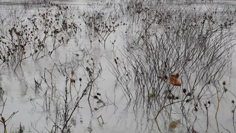 Water background Stock Footage 147595071