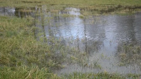 Water background Stock Footage 147742277
