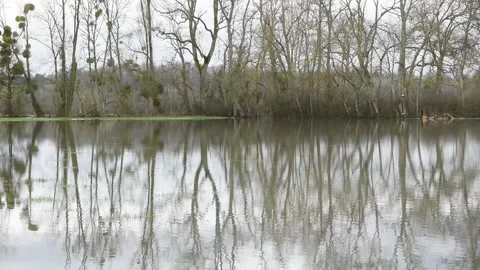 Water background Stock Footage 147986976