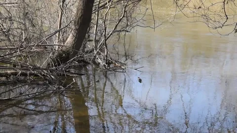 Water background Stock Footage 149323299