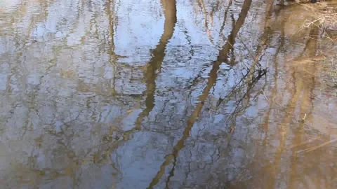 Water background Stock Footage 149658003