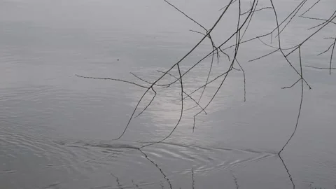 Water background Stock Footage 150723647