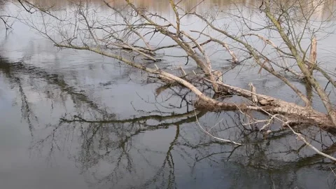 Water background Stock Footage 151173889
