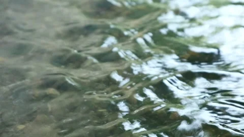 Water background Stock Footage 336510463