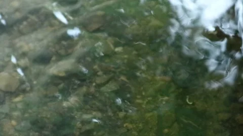 Water background 库存影片 336510471