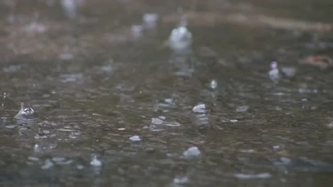 Water Background raindrops make small bubbles in puddles, Stock Footage 137363410