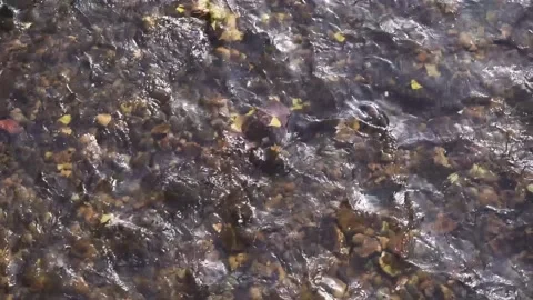 Water background river Stock Footage 170515912