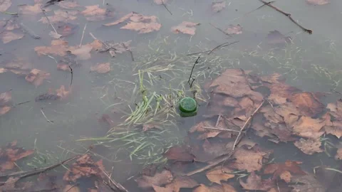 Water background with waste Stock Footage 147598002