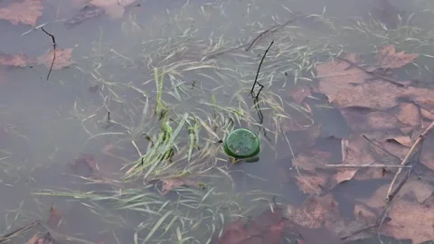 Water background with waste Stock Footage 147991272