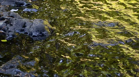 Water Bank Video stock 25913401