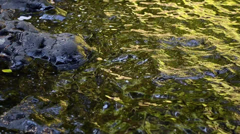 Water Bank Video stock 25913407