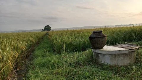 The Water Barrel 스톡 사진