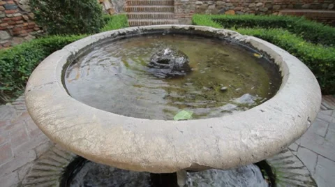 Water Basin 스톡 동영상 8156624