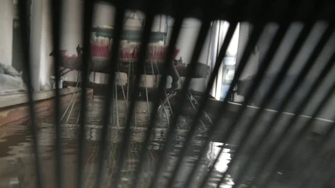 Water bath for recycling process Stock Footage 72857831