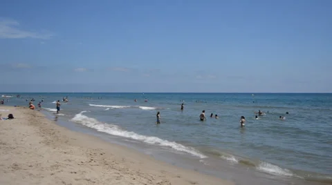 In The Water At The Beach 스톡 동영상 55256208