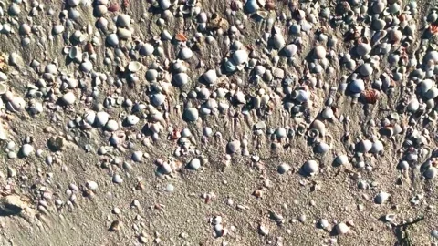 Water in the beach of Progreso Stock Footage 145848421