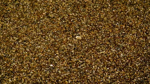 The water on the beach splashes. Selective focus. Stock Footage 166215586