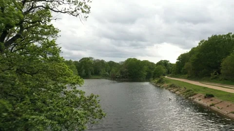 Water between trees in park of forest, pond water surface Stock-Footage 159158019
