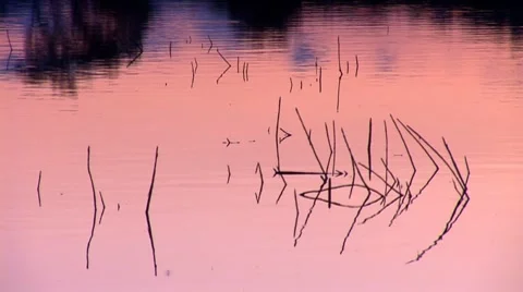 Water bg 4 Stock Footage 8794918