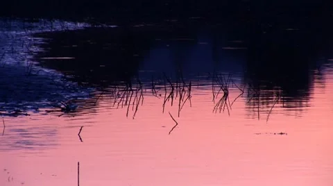 Water bg 5 Stock Footage 8794835