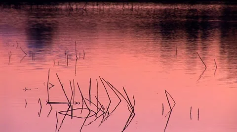 Water bg 7 Stock Footage 8794760