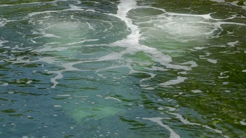 Water from a big pond with bubbles Stock Footage 75167332