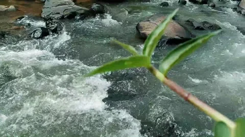 The water of the big river flows naturally Stock Footage 224492233
