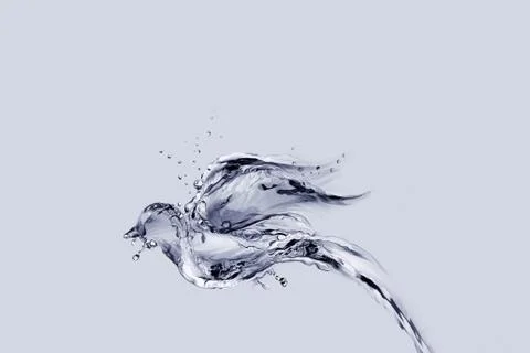 Water Bird Flying Stock Illustration