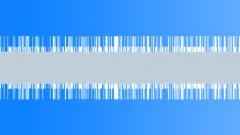 Water Birds in Park 01Sound Effect