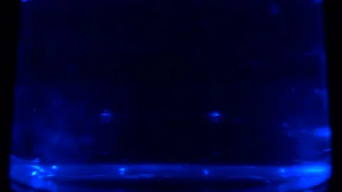 Water boiling in electric kettle Stock Footage 101670595