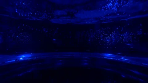 Water boiling in electric kettle Stock Footage 101670663