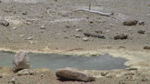 Water boiling from the ground Stock Footage 4903950