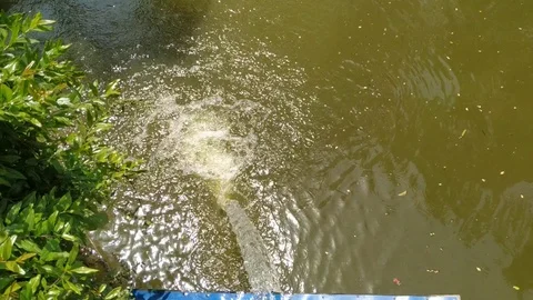 The water is boiling with water while falling in the pond. Stock Footage 128830172