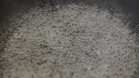 Water boiling,Close-up in pot of boiling water,Bubbles of boiling water 스톡 동영상 119086009