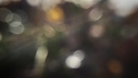 Water Bokeh Background Stockbeeldmateriaal 111831448