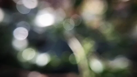 Water Bokeh Background Stockbeeldmateriaal 111831495