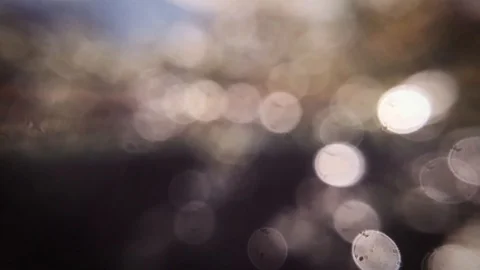 Water Bokeh Background Stockbeeldmateriaal 111831519