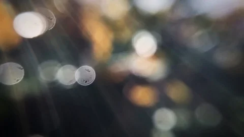 Water Bokeh Background Stockbeeldmateriaal 111831550