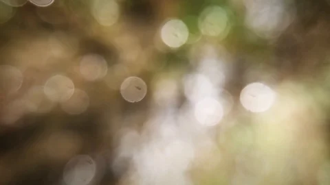 Water Bokeh Background Stockbeeldmateriaal 111831586