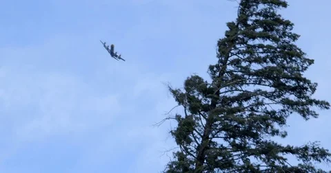 Water Bomber Flying Over Forest Fire’s windy Tree Tops, forest fire Stock Footage 78016091
