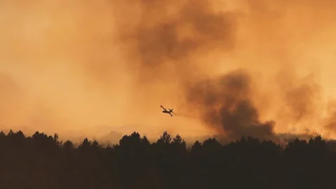 Water bombing aircraft fighting a wildfire Stock Footage 152771253