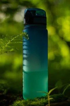 Water bottle with a fern leaf Fotos Stock