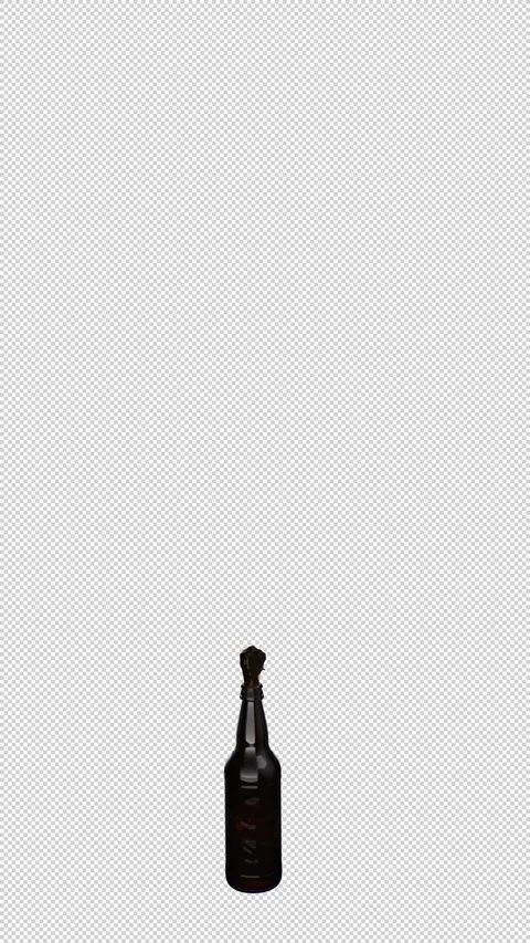 Water-bottle-splash-orange Stock Footage 335152005