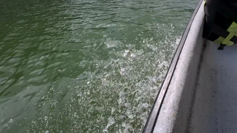 Water bouncing on a boat sailing on a river with a forest with trees and mo.. Stock Footage 262174865