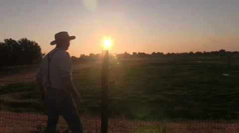 Water break on the ranch Video stock 41532186