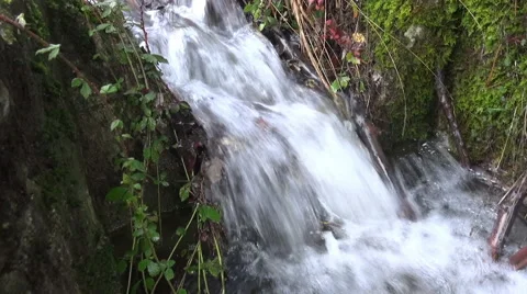 Water Brook Stock Footage 48063770