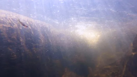 Water bubble in a flowing stream through rock Stock Footage 308151740