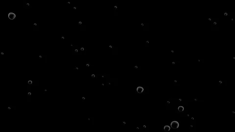 Water bubbles animation seamless loop. going up on black. Stock Footage 269454111