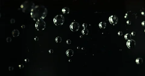 Water bubbles on black background, microscope look Stock Footage 104652406